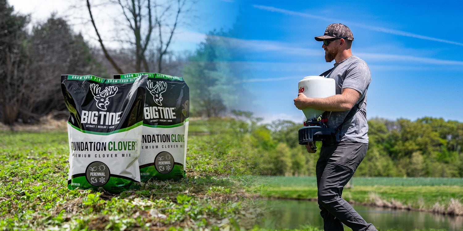 Big Tine - Food Plot Seed