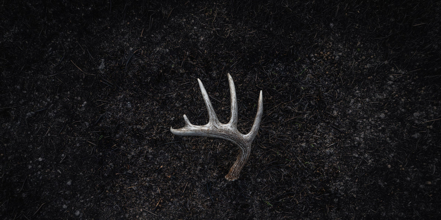 Shed Season Collection