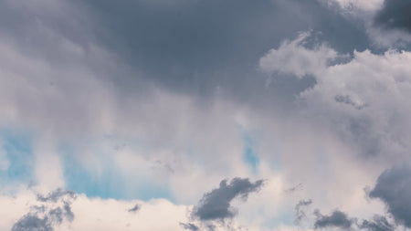 The Chase – Midwest Whitetail